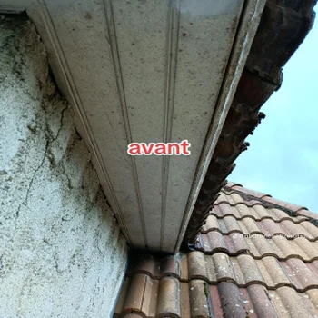 temp_image_f2322256-110f-4f81-9977-59ae98450b18-standard-79atw6.webp