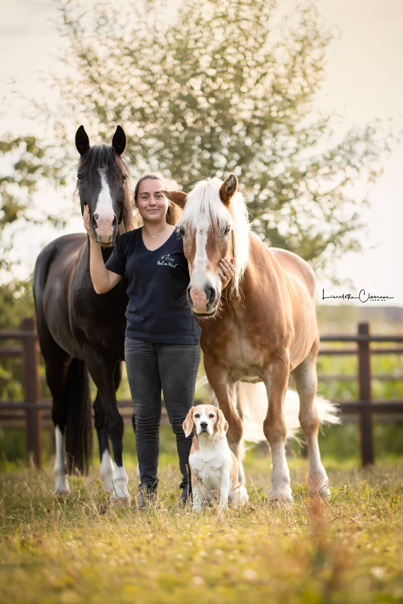 Paardenosteopaat met paard en hond