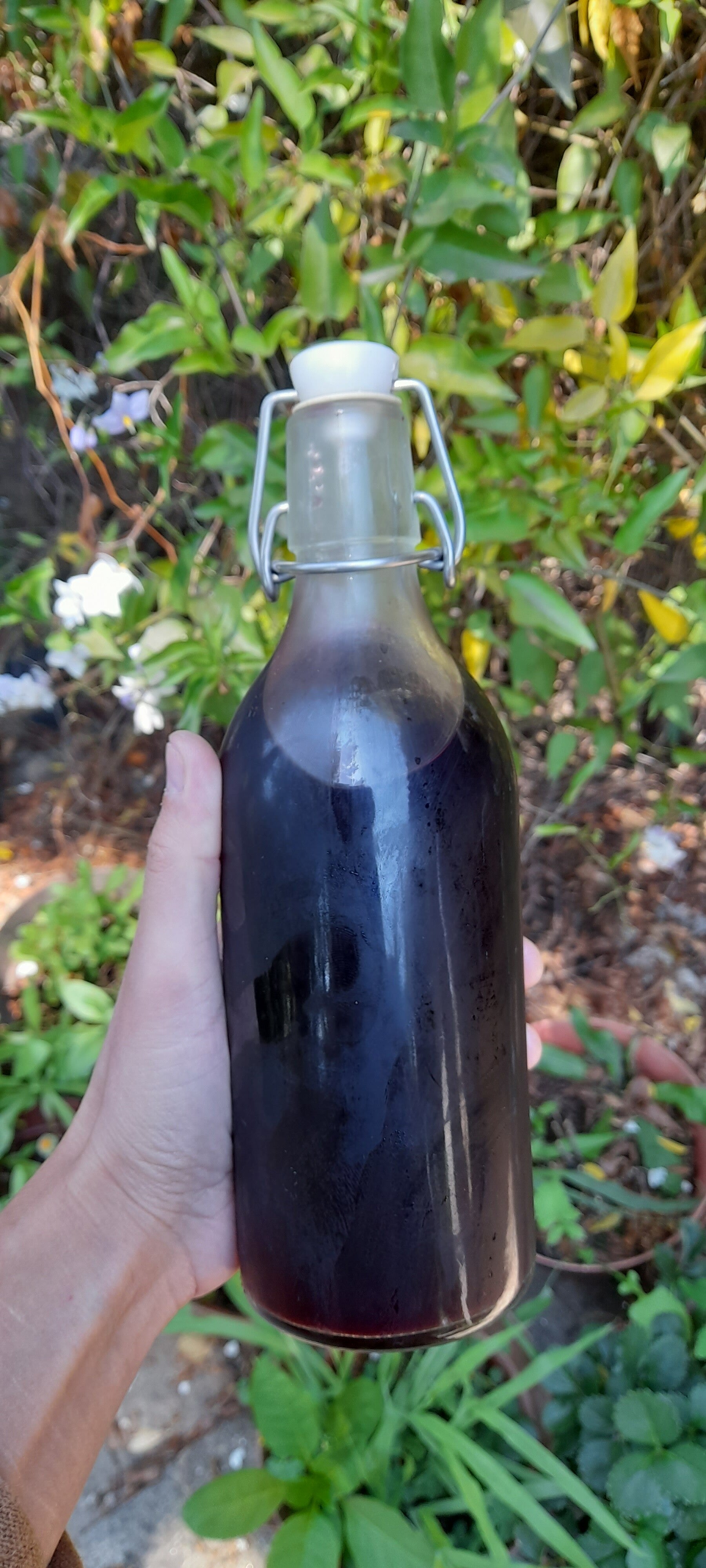 Vinagre Medicinal de Amora Bio