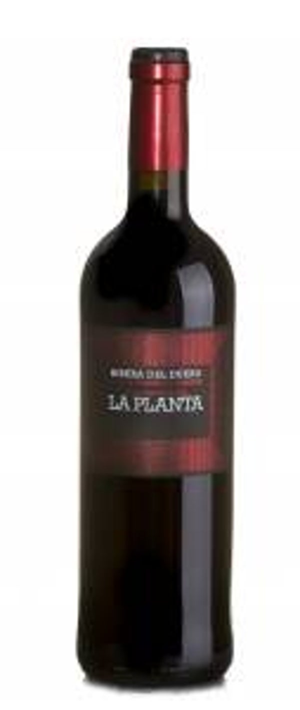 Arzuaga La Planta