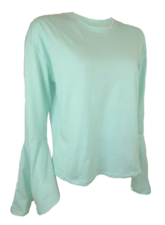Long sleeve mint top (44)