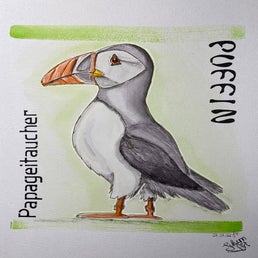 puffin-standard-gd45ko.jpg