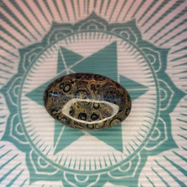 Kambaba Palm Stone -73g