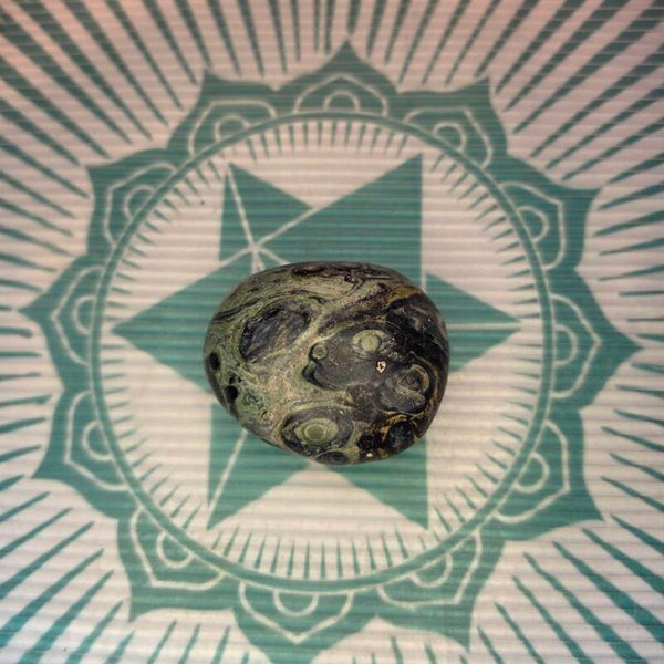 Kambaba Palm Stone -74g