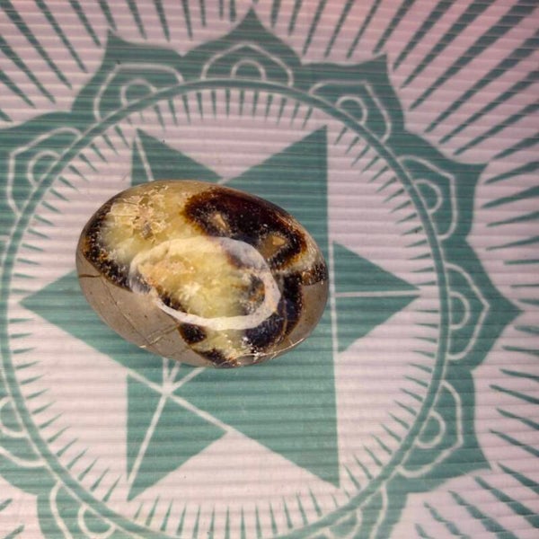 Septarian Palm Stone -72g