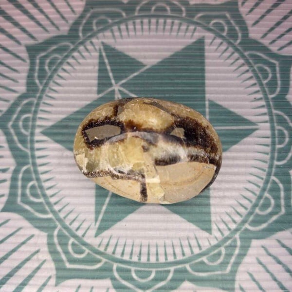 Septarian Palm Stone -76g