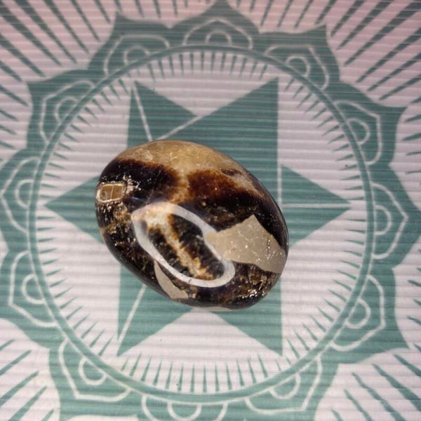 Septarian Palm Stone -88g