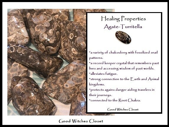 Turritella Agate