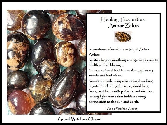 Amber Zebra