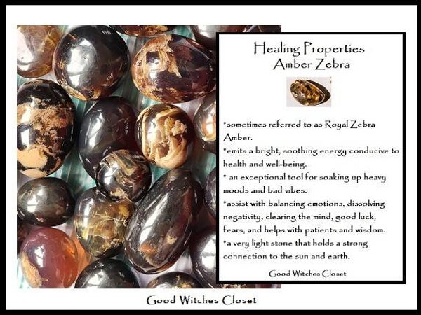Amber Zebra