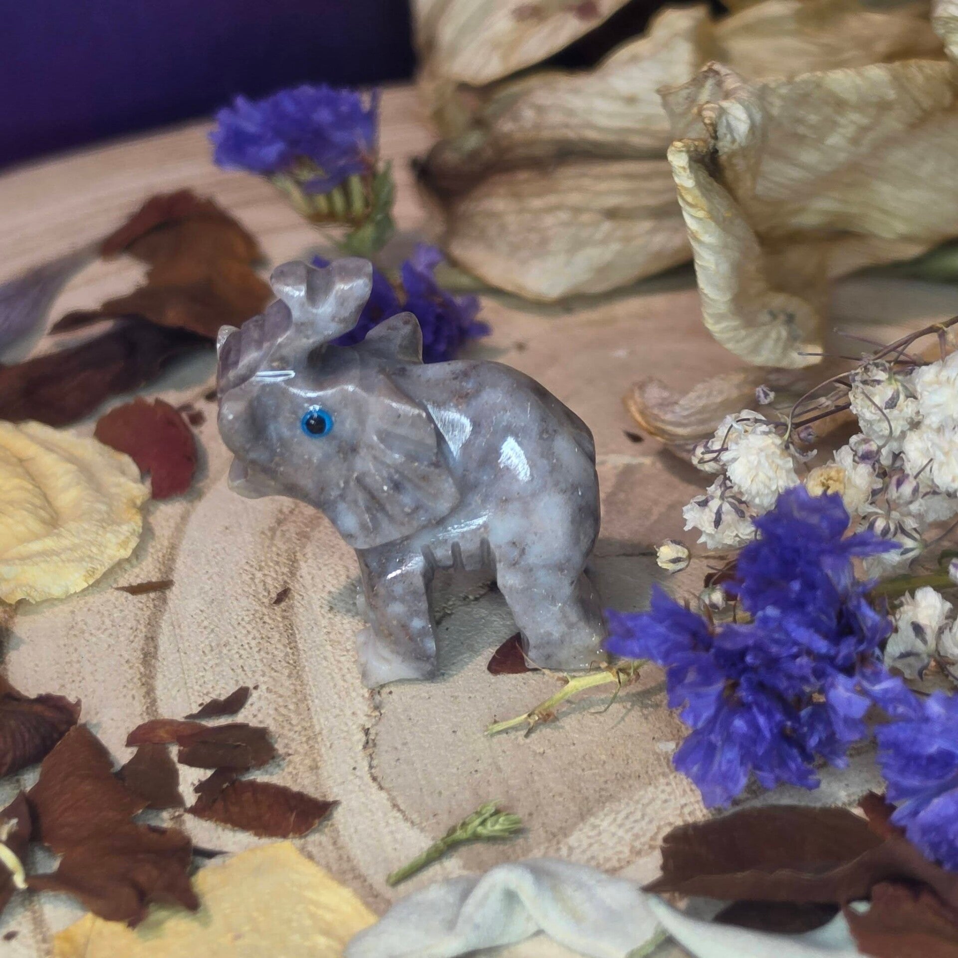 Elephant Dolomite