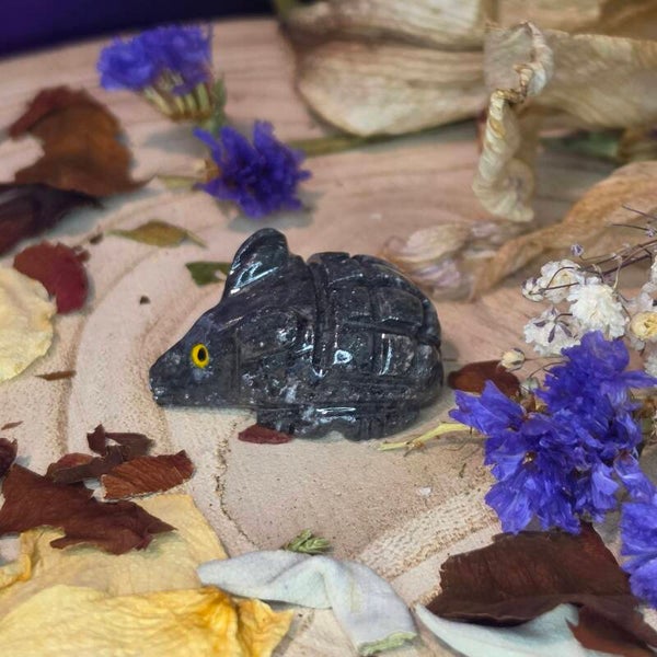 Hedgehog Dolomite