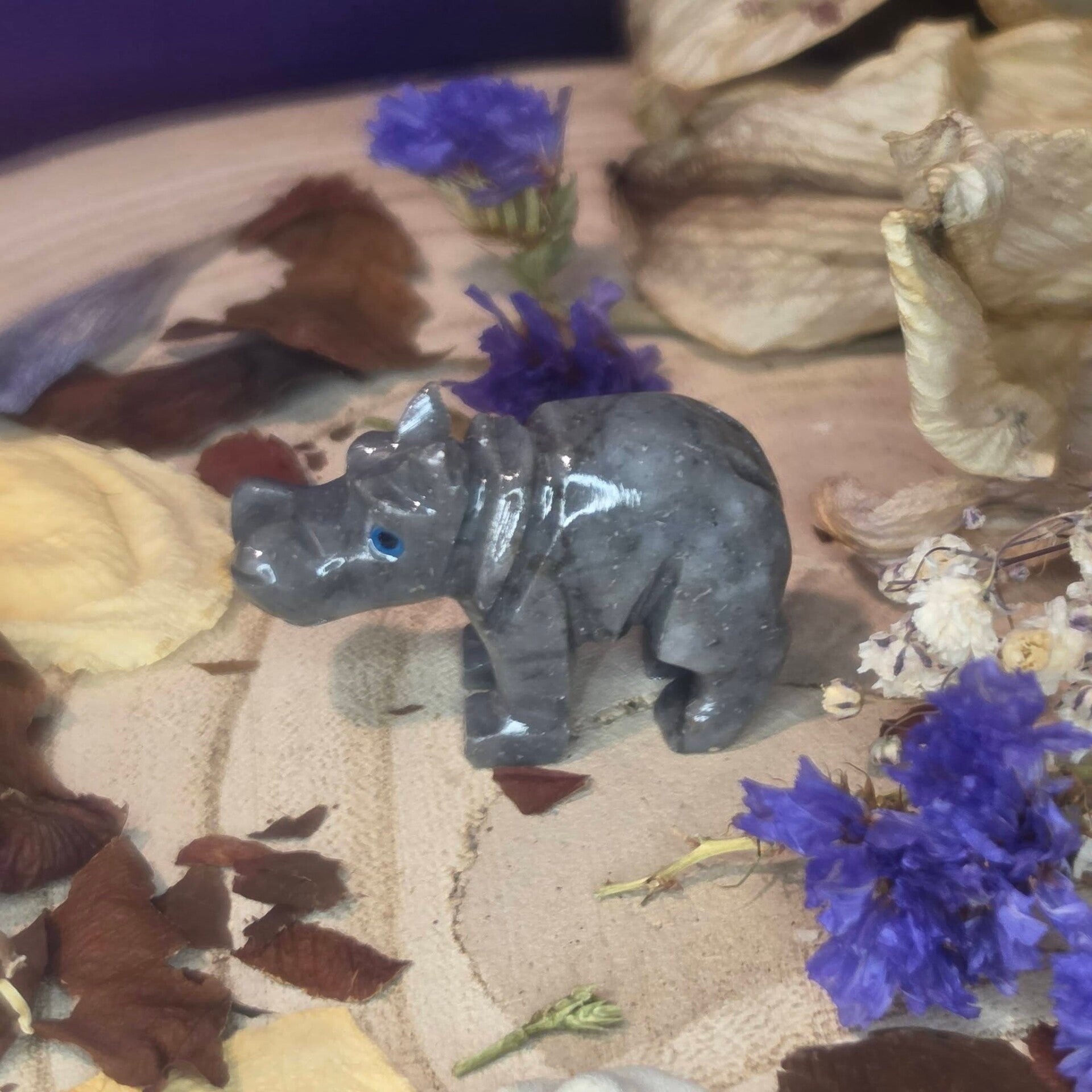 Hippopotamus Dolomite