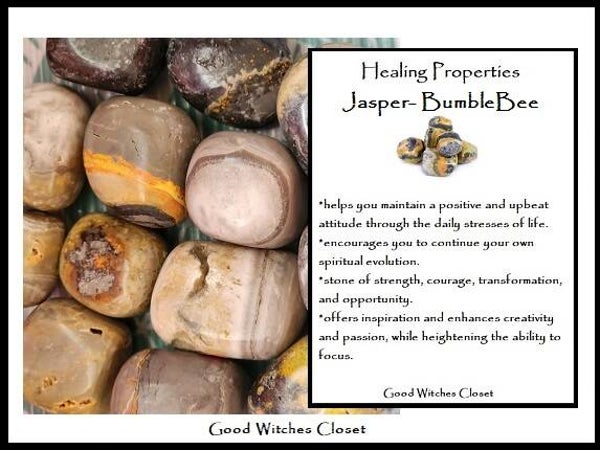 Bumblebee Jasper