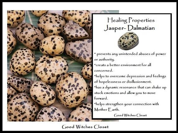 Dalmatian Jasper
