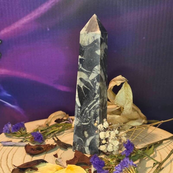 Shell Jasper (Shell Stone)