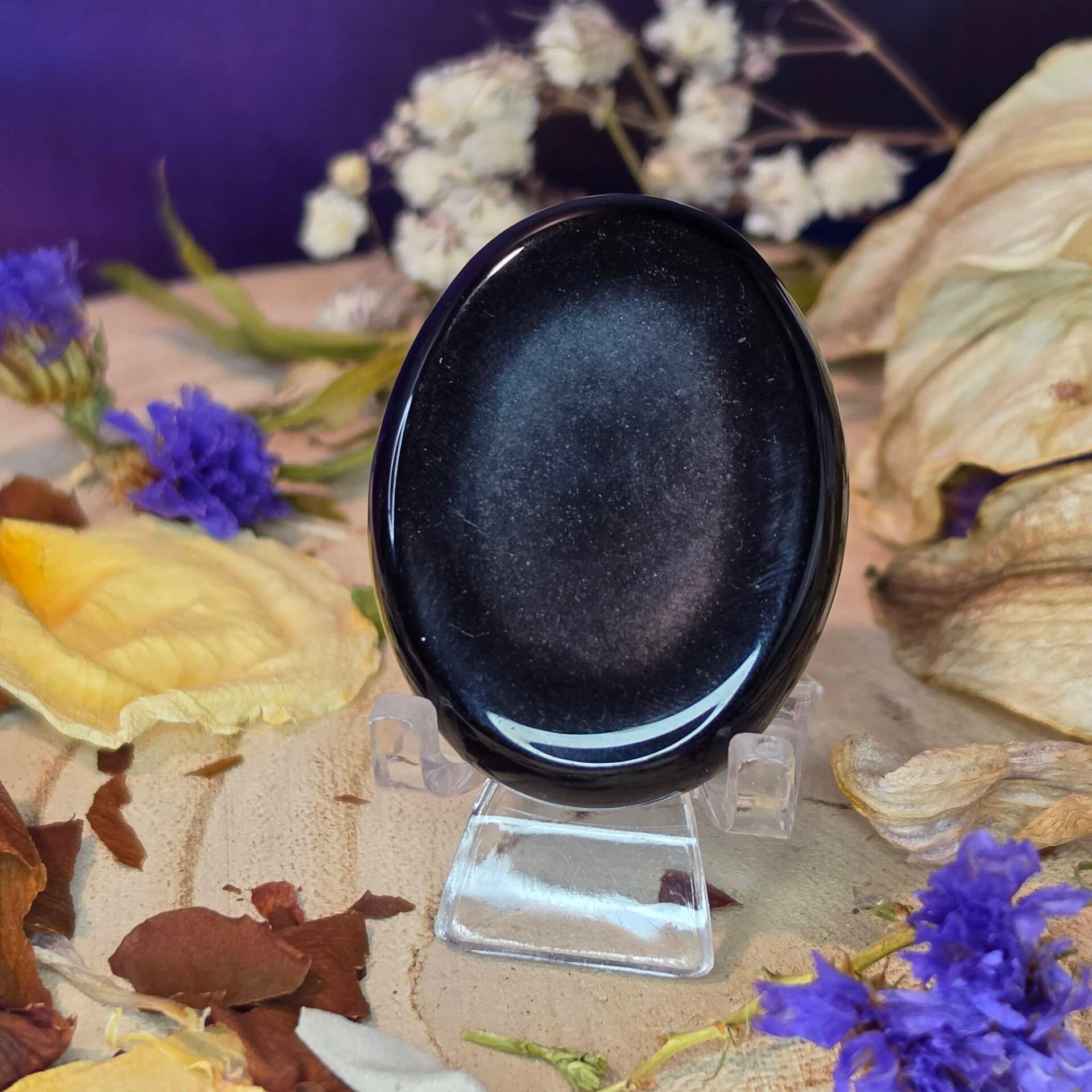 Black Obsidian Worry Stone