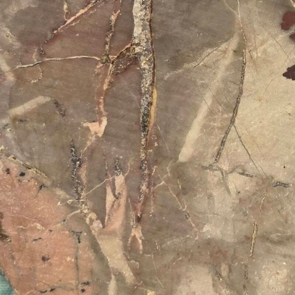 Petrified Wood