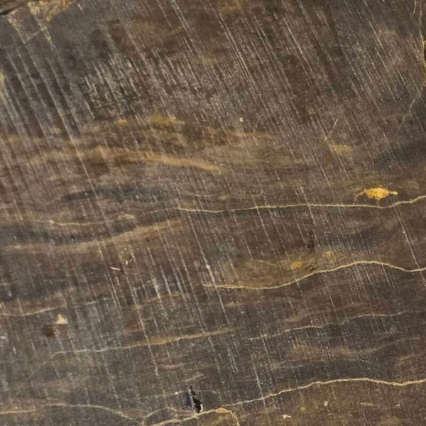 Brown Petrified Wood -69g