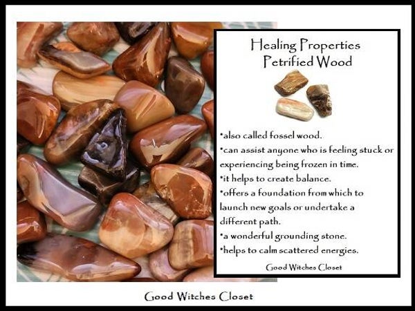 Petrified Wood