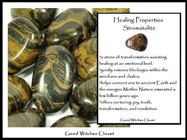 Stromatolite