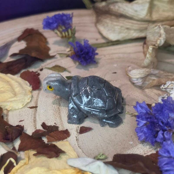 Turtle Dolomite