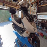 img_20250318_113124-standard.jpg