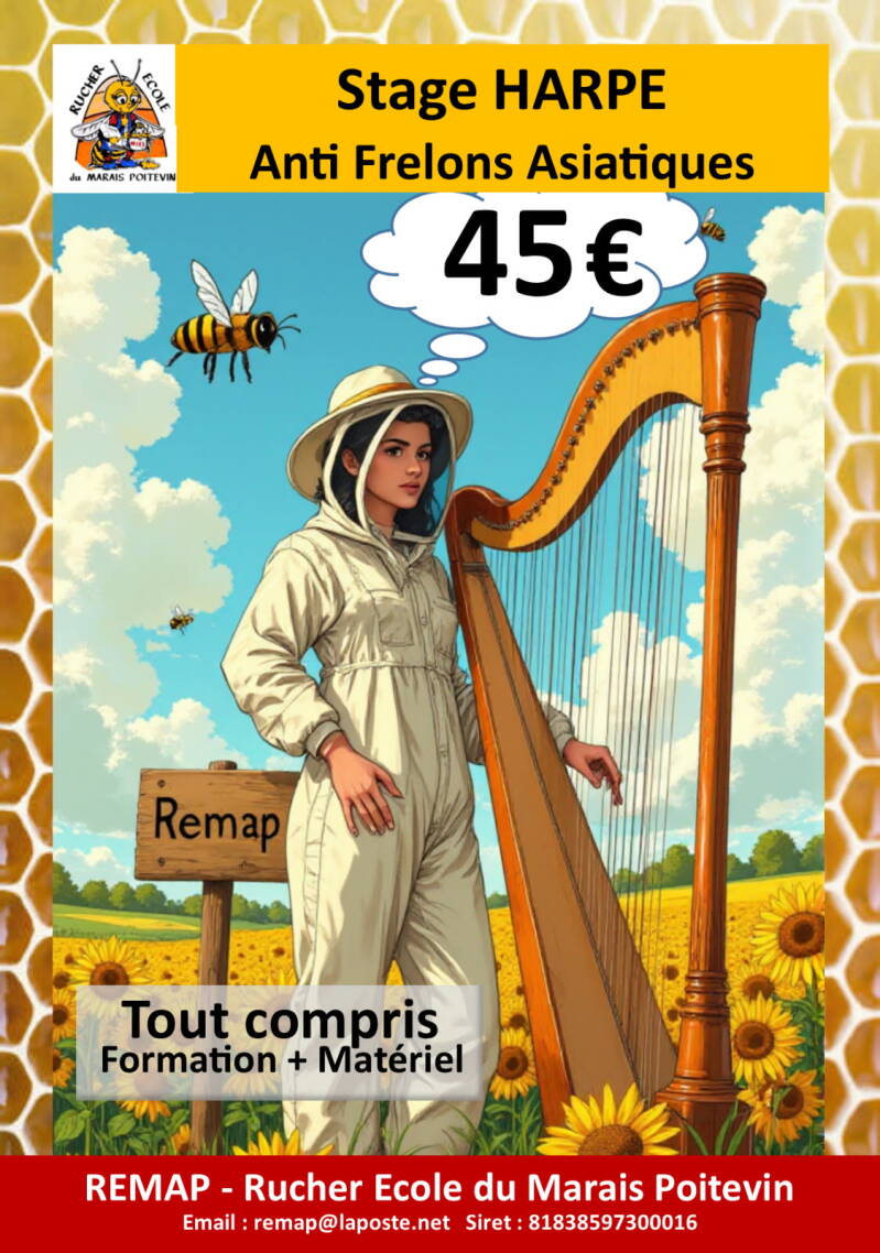STAGE HARPE ANTI FRELONS ASIATIQUES 17 MAI 2025 DE 9H A 12H30