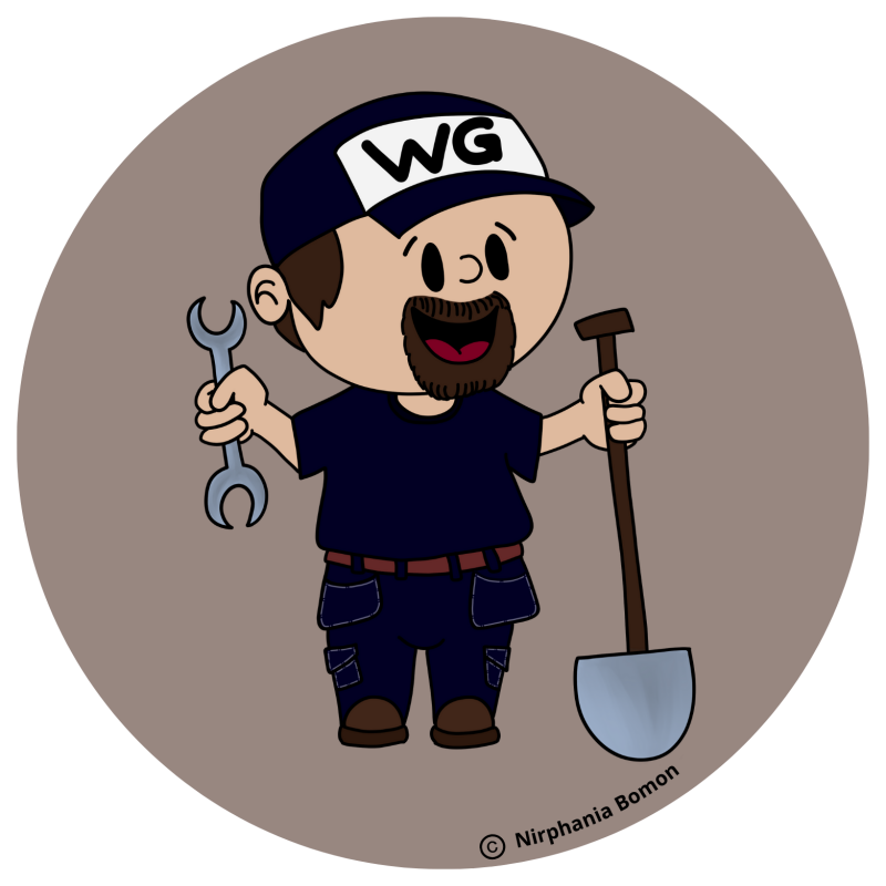 cartoon-wim-standard.png