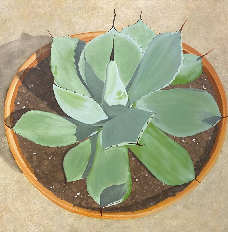 agave-painting-standard-f7lkk2.jpg