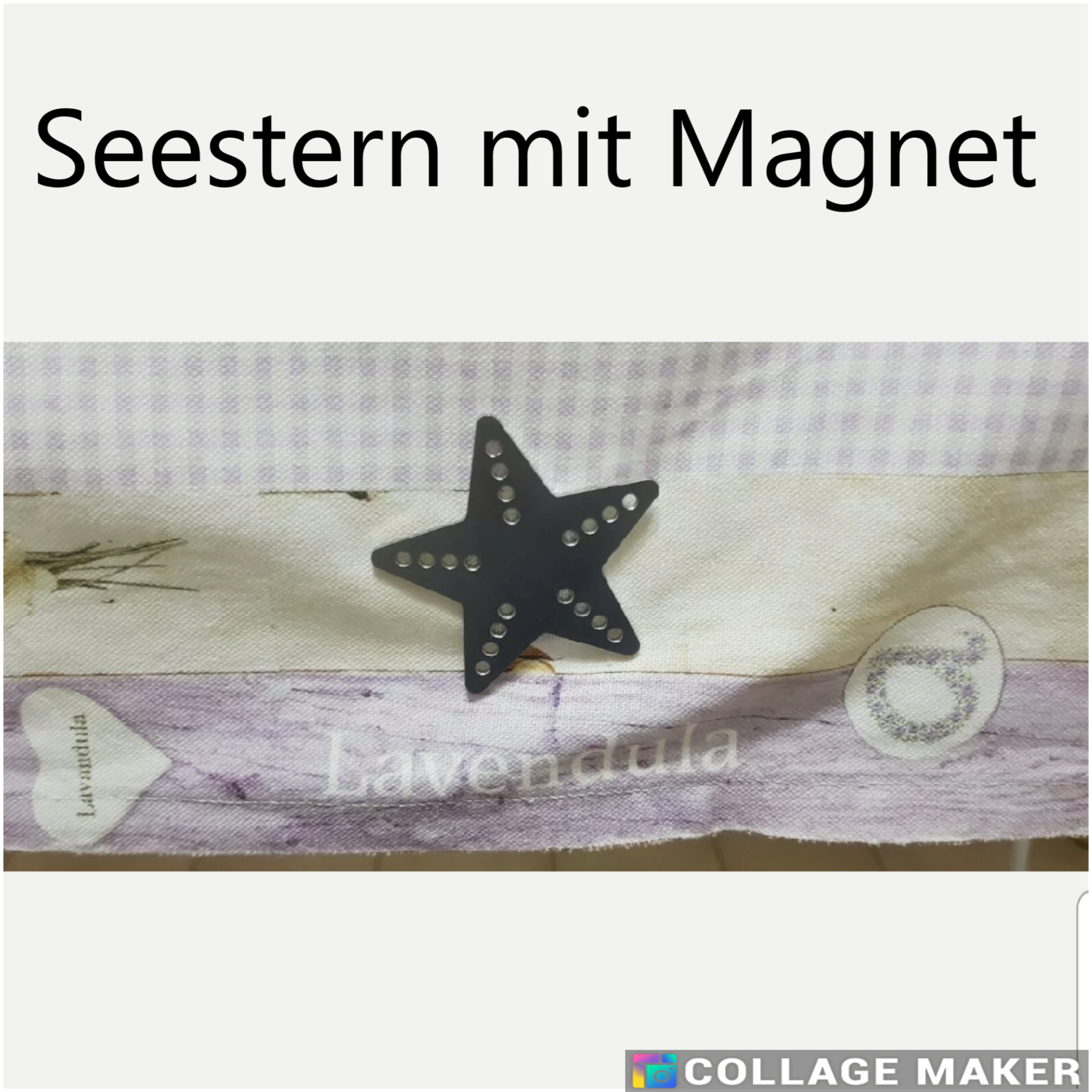 Tischdeckengewicht Seestern