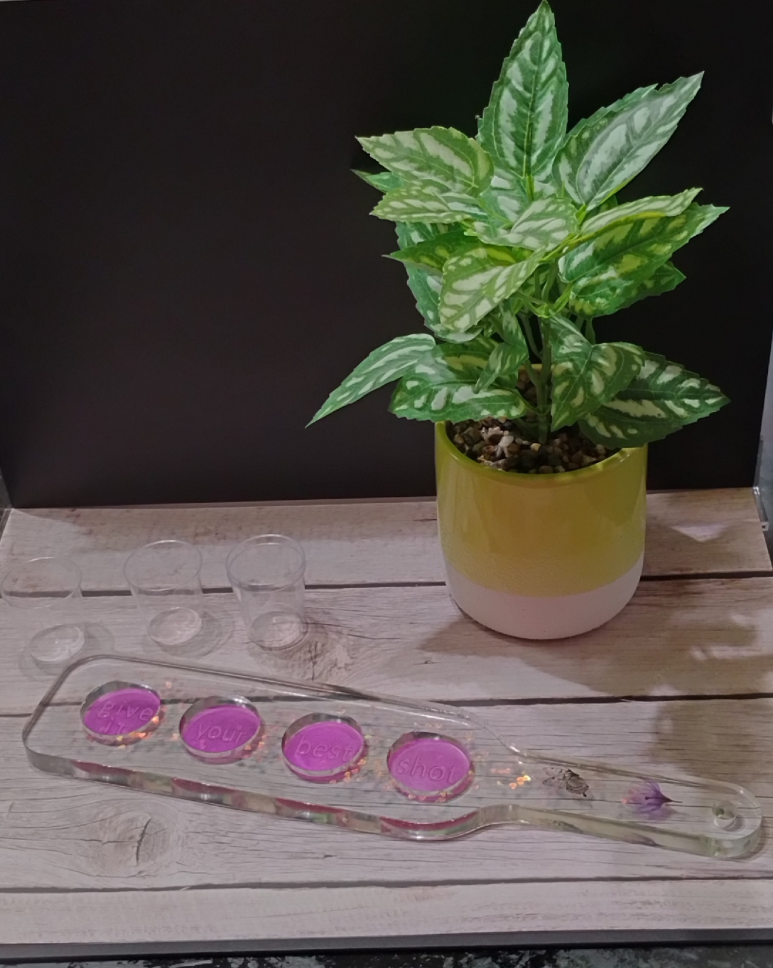 Shot Glass Tray - Translucent