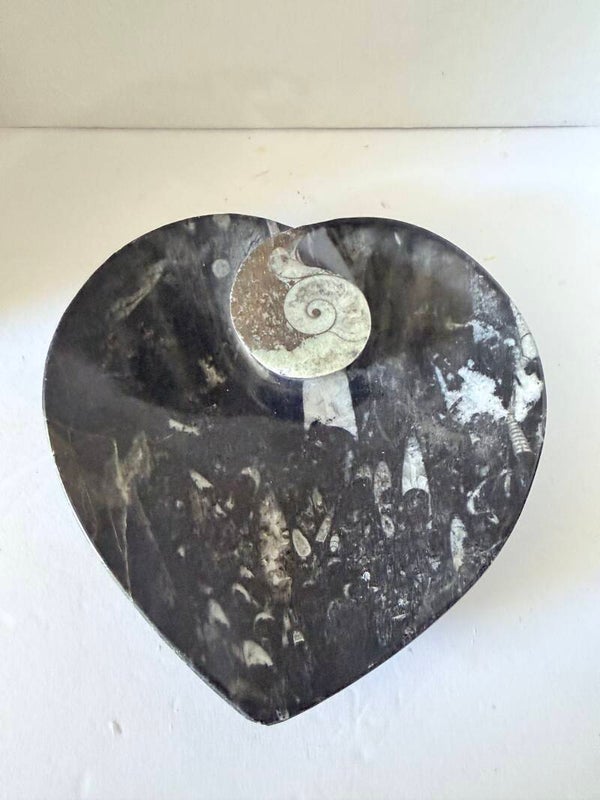 Black Marble Heart Dish with Ammonite