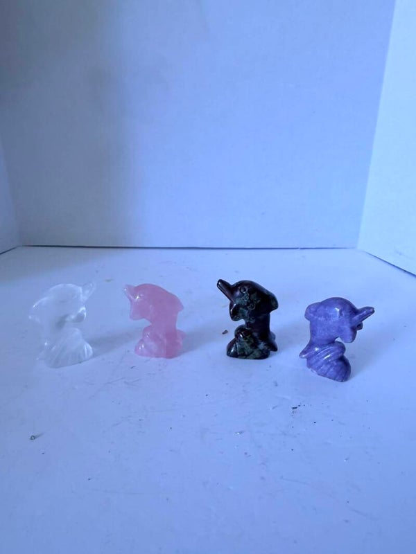 Misc Dolphins