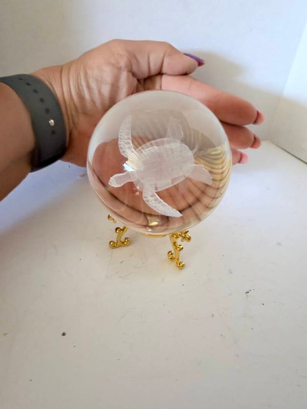 Crystal Sea Turtle