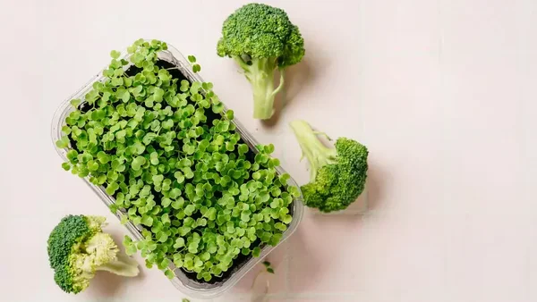 Bashful Broccoli