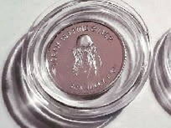 Floating Suspension Frame x3x1g Silver Bullion & 1/10th Token Color