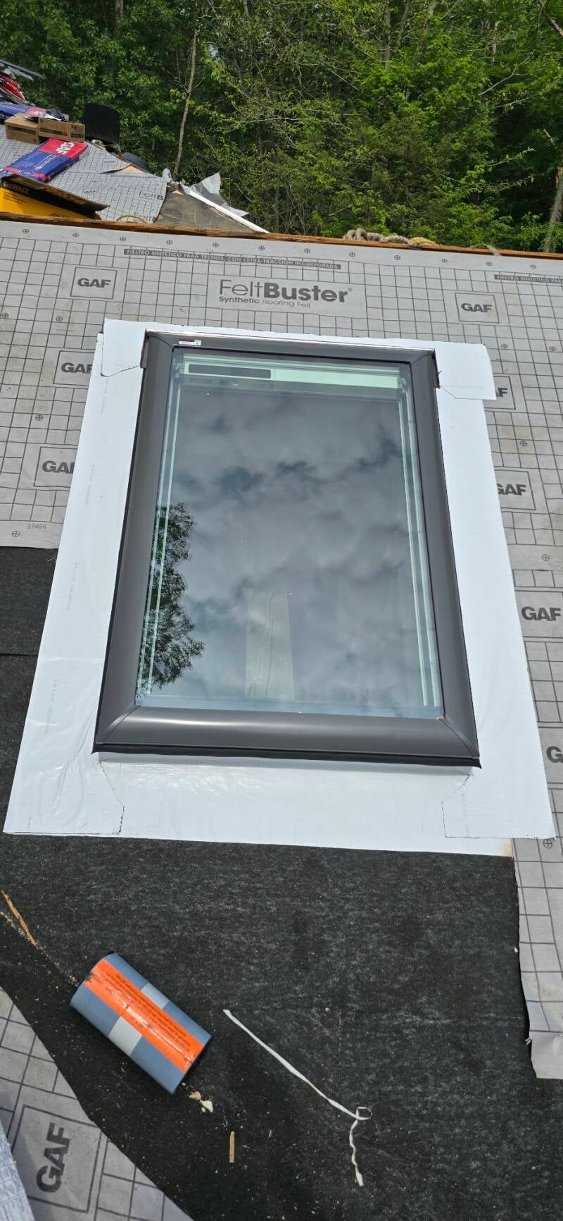 20250608_152828-standard-i6nbch.jpg