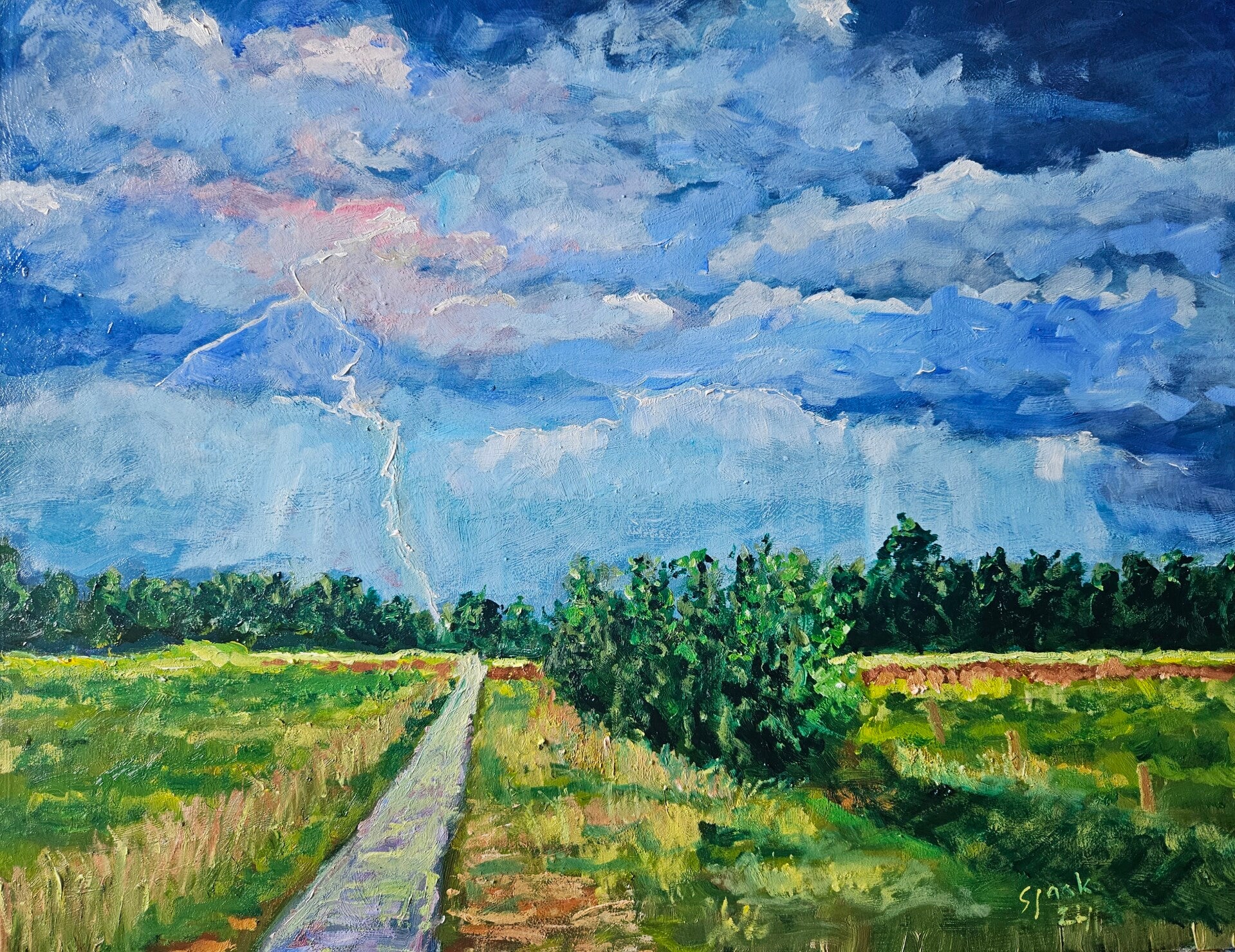 Noodweer in de IJsselvallei (2)