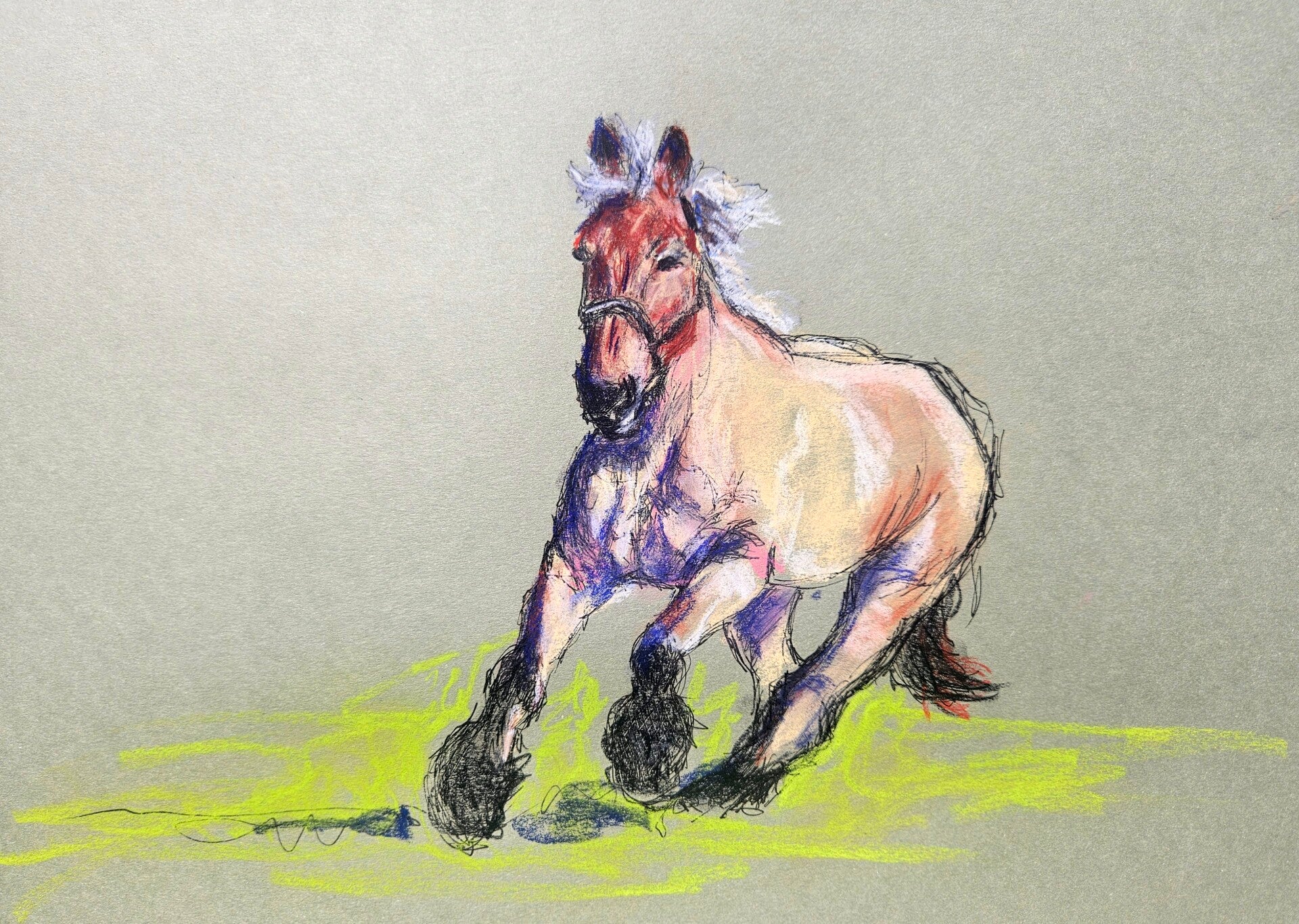 Galop