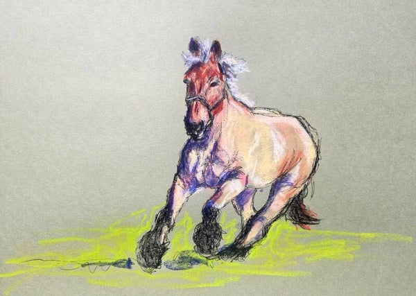 Galopperend paard