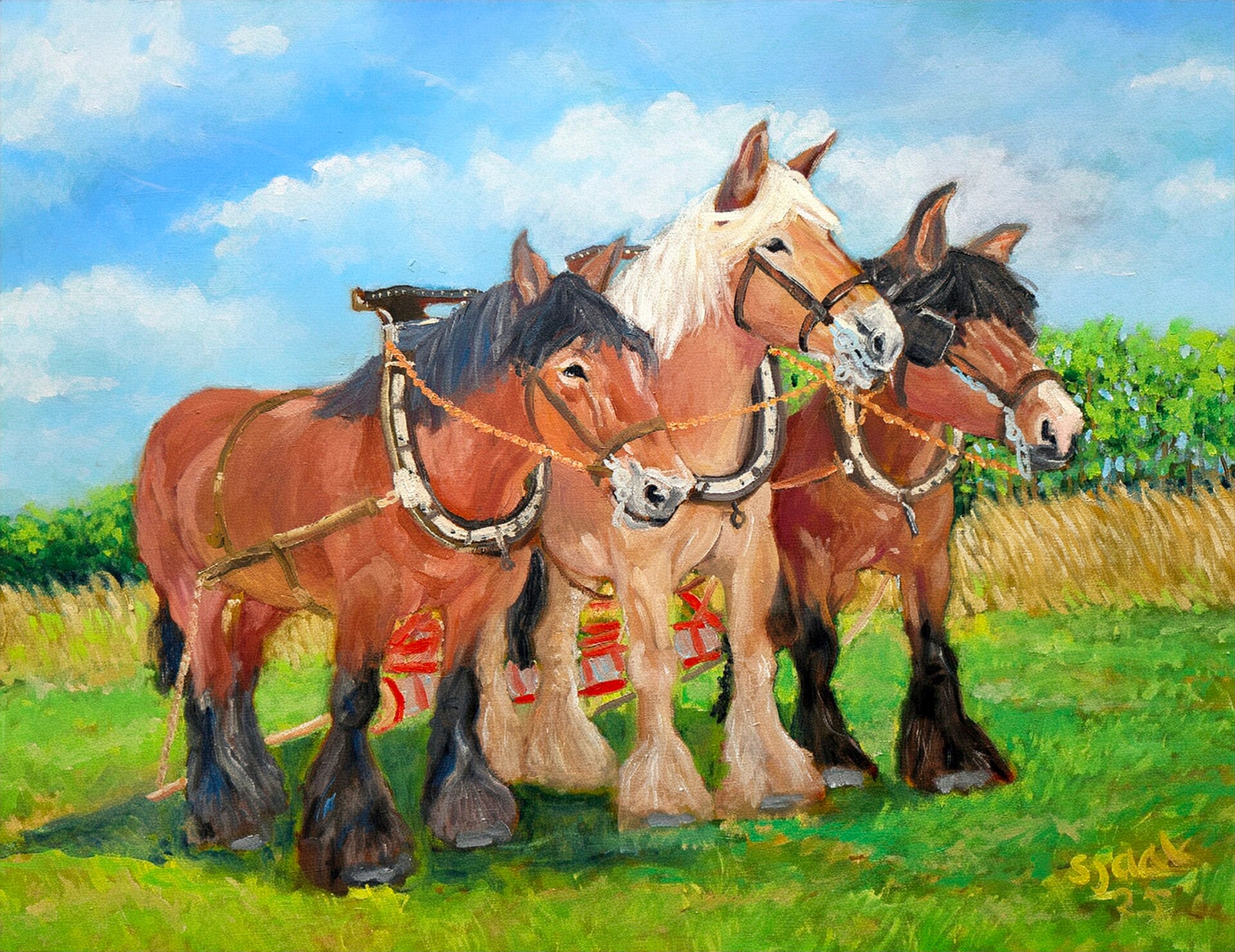 Drie trekpaarden