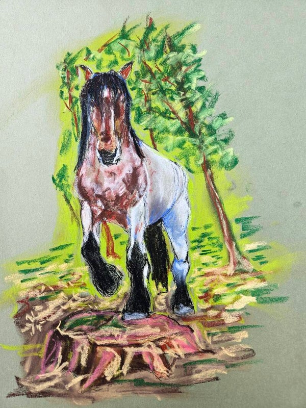 Paard met één been op een tronk