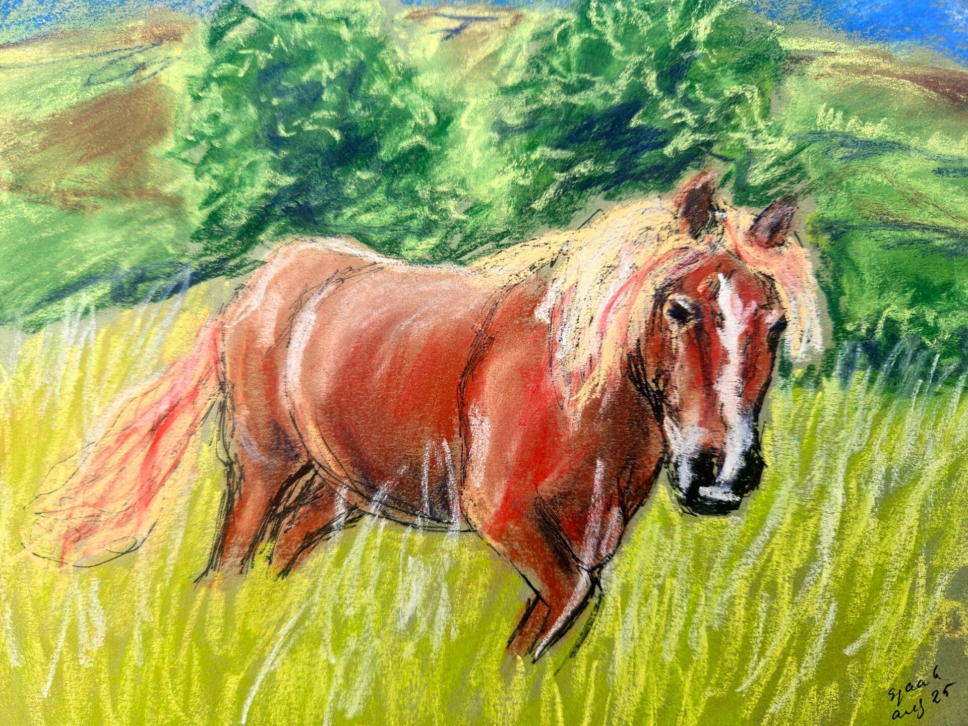Paard staand in het gras