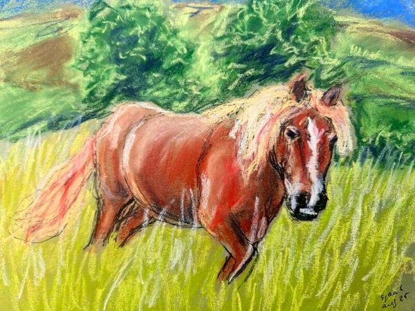 Paard staand in het gras