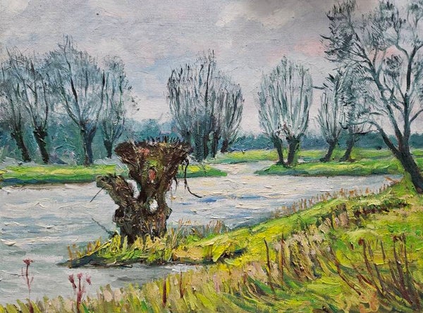Knotwilg aan de IJssel