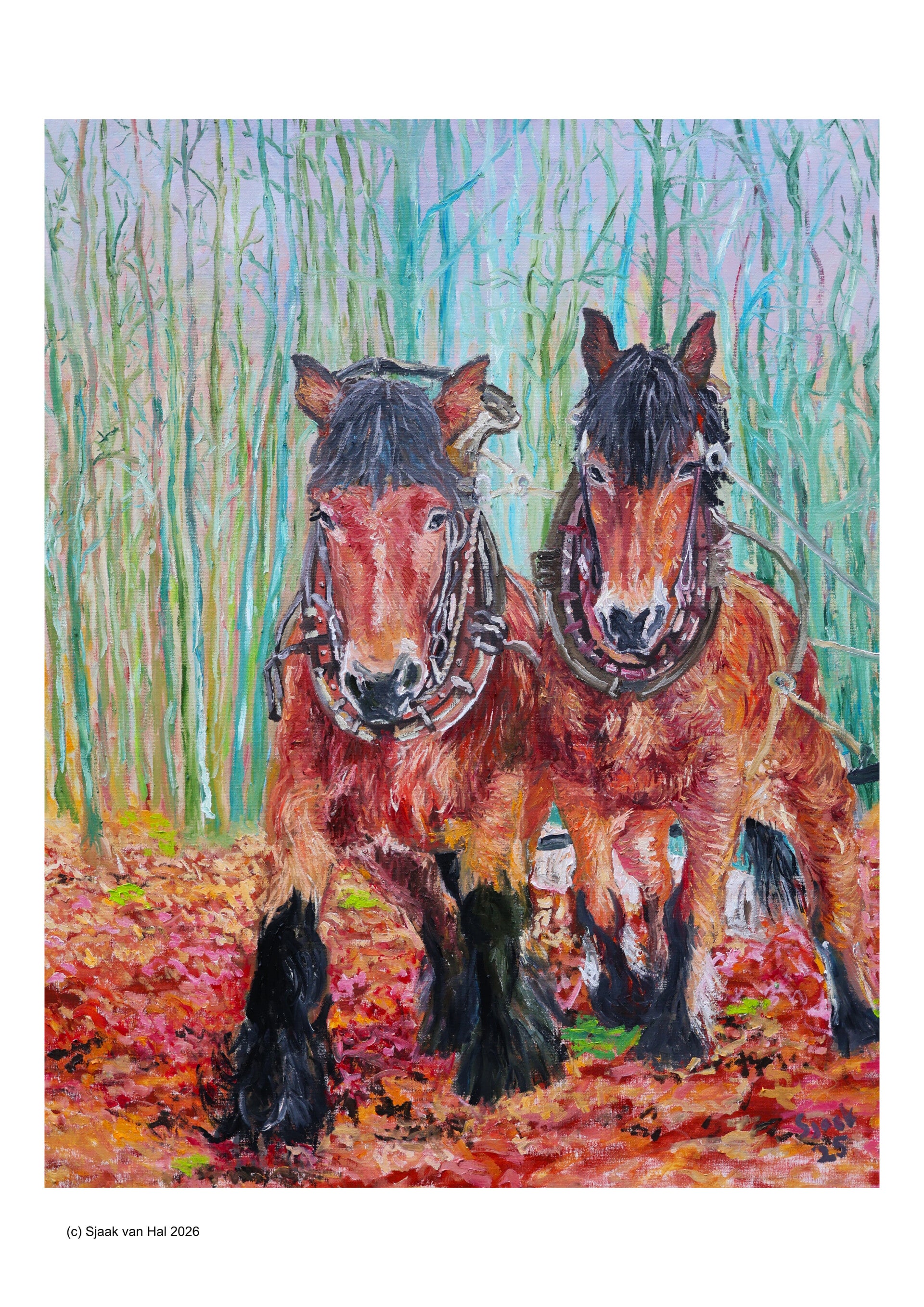 Twee trekpaarden