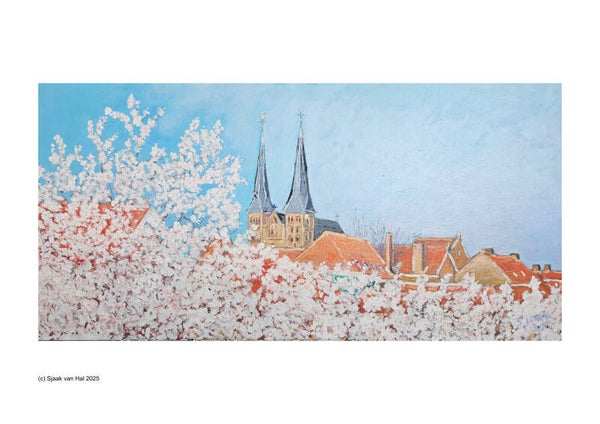 Zicht op de torens van de Bergkerk