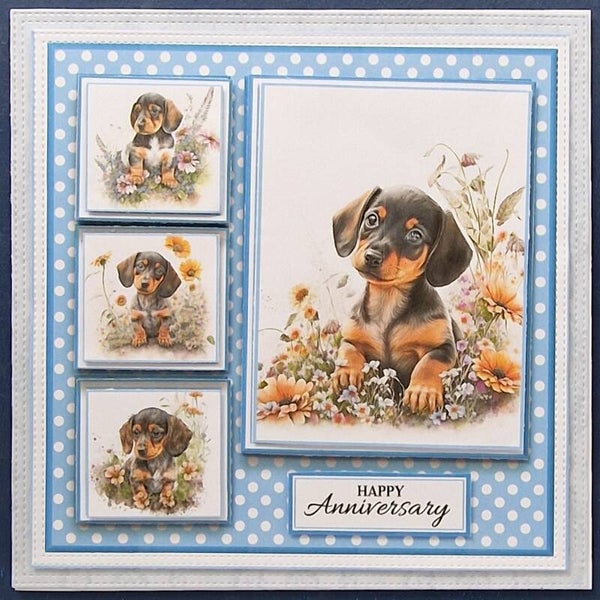 Daschund Anniversary