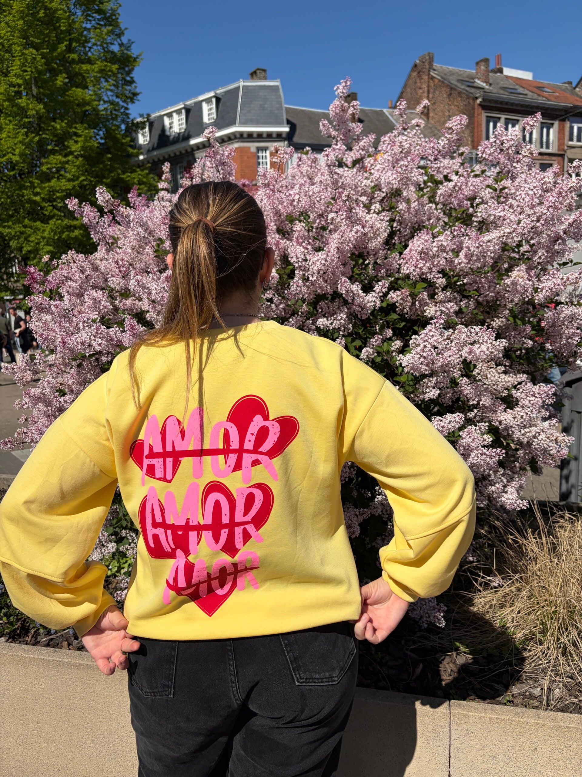 Pull Amor